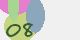 securitycode