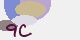 securitycode