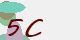 securitycode