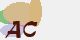 securitycode