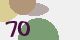 securitycode