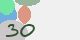 securitycode