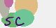 securitycode