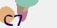 securitycode