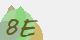 securitycode