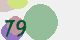 securitycode