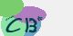 securitycode