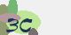securitycode