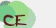 securitycode