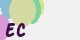securitycode