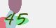 securitycode