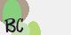 securitycode
