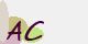securitycode