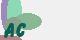 securitycode