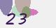 securitycode