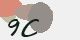 securitycode