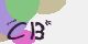 securitycode