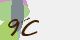 securitycode