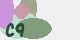 securitycode