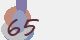 securitycode