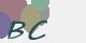 securitycode