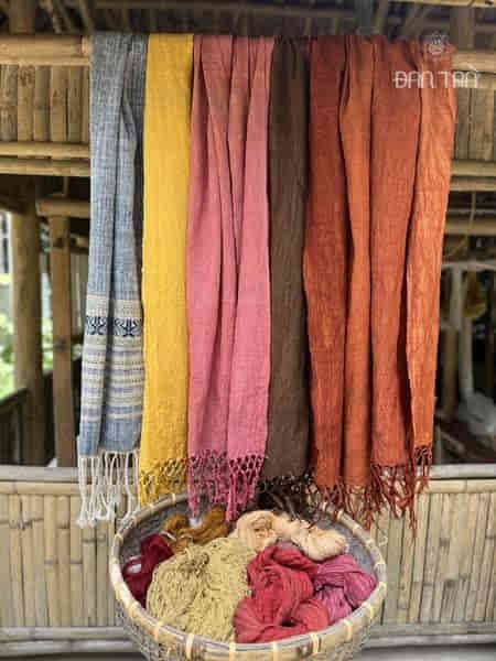 workshop Đà Lạt