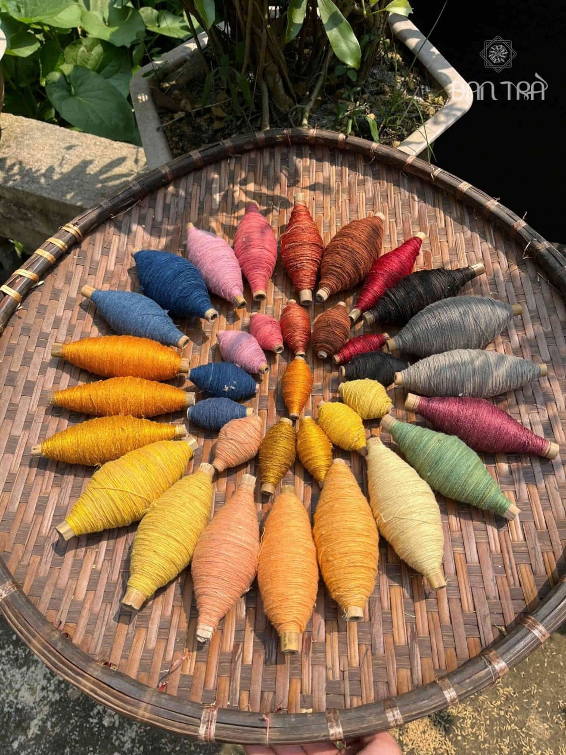 workshop Đà Lạt