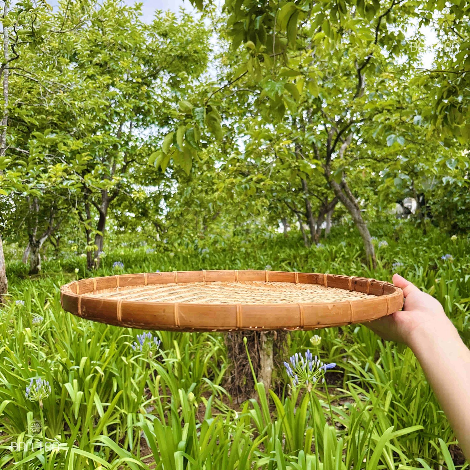 Mẹt tre đa dang size viền mây tre