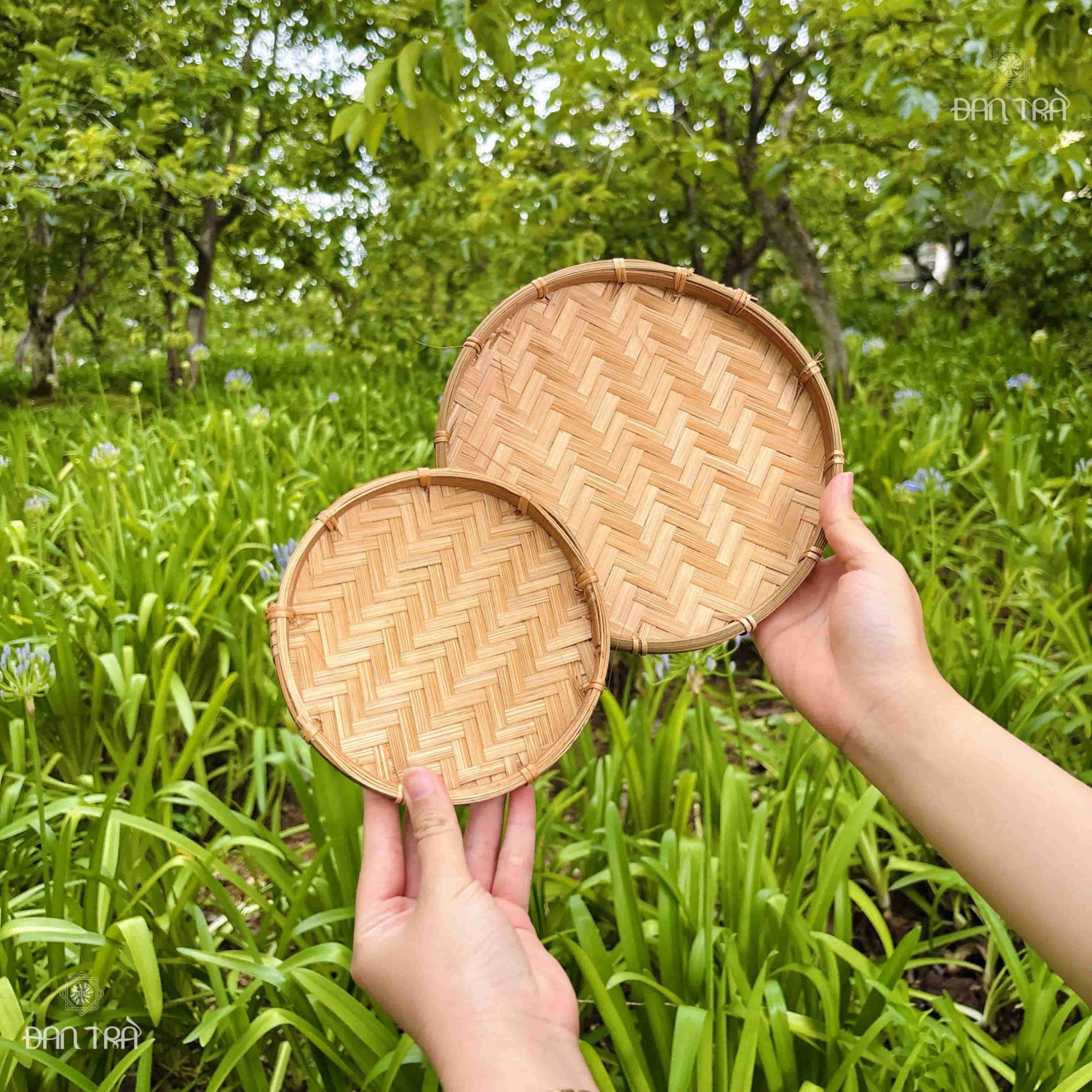 Mẹt tre đa dang size viền mây tre