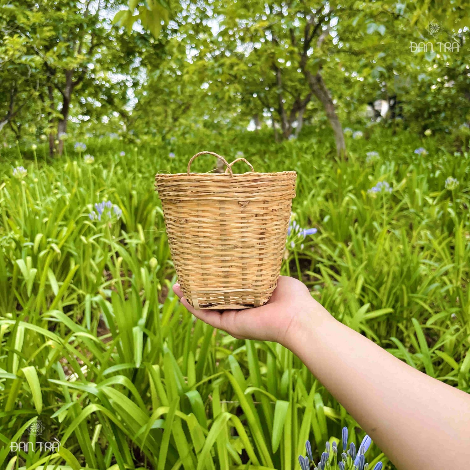 Sọt tre mini