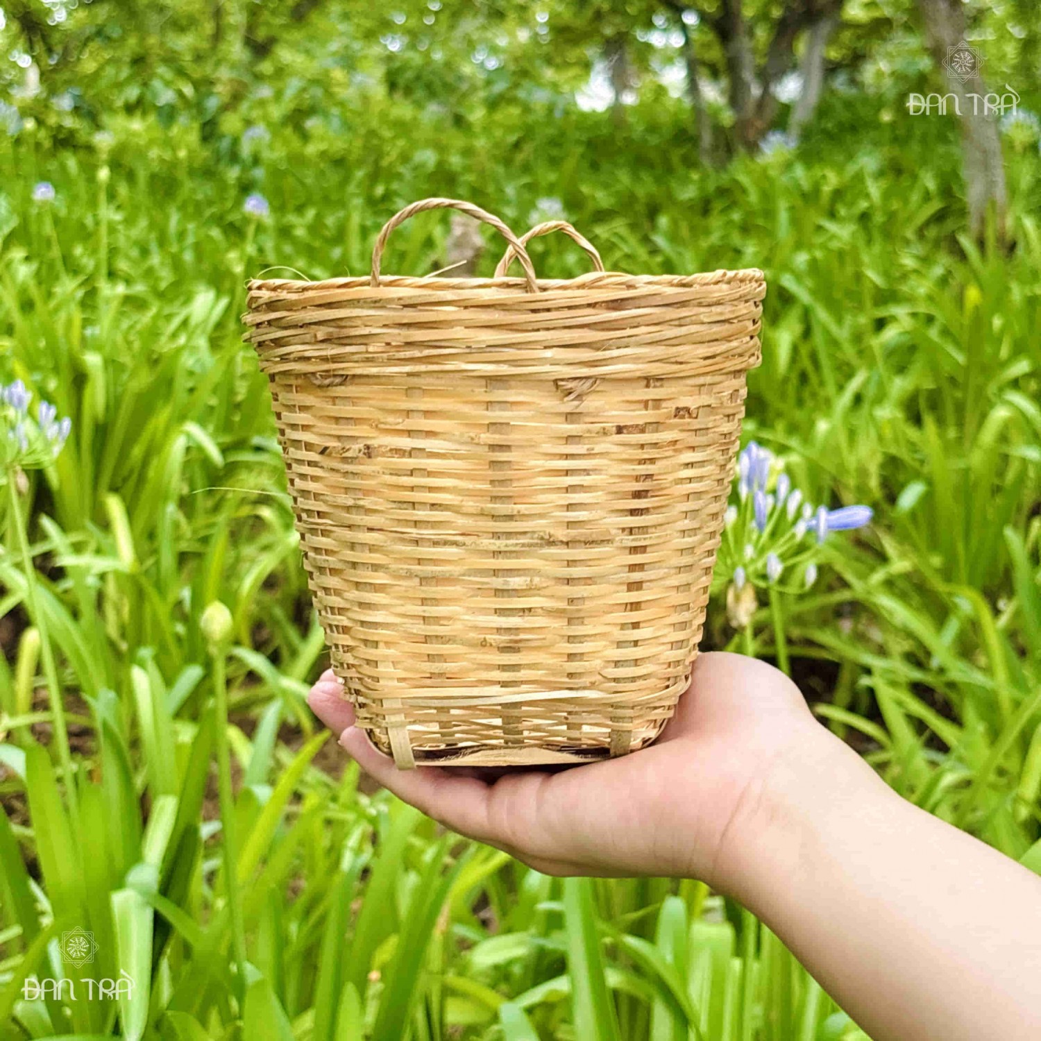 sọt tre