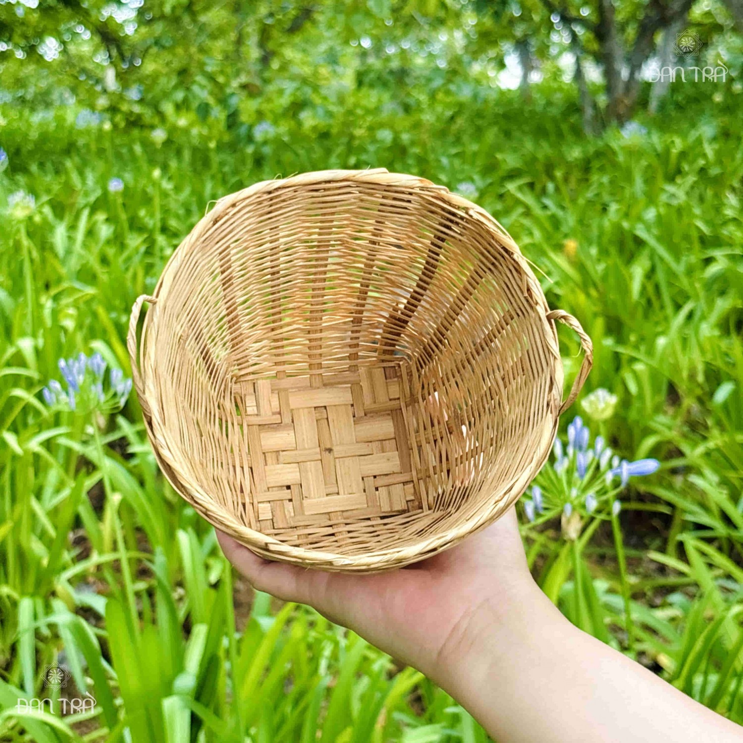Sọt tre mini