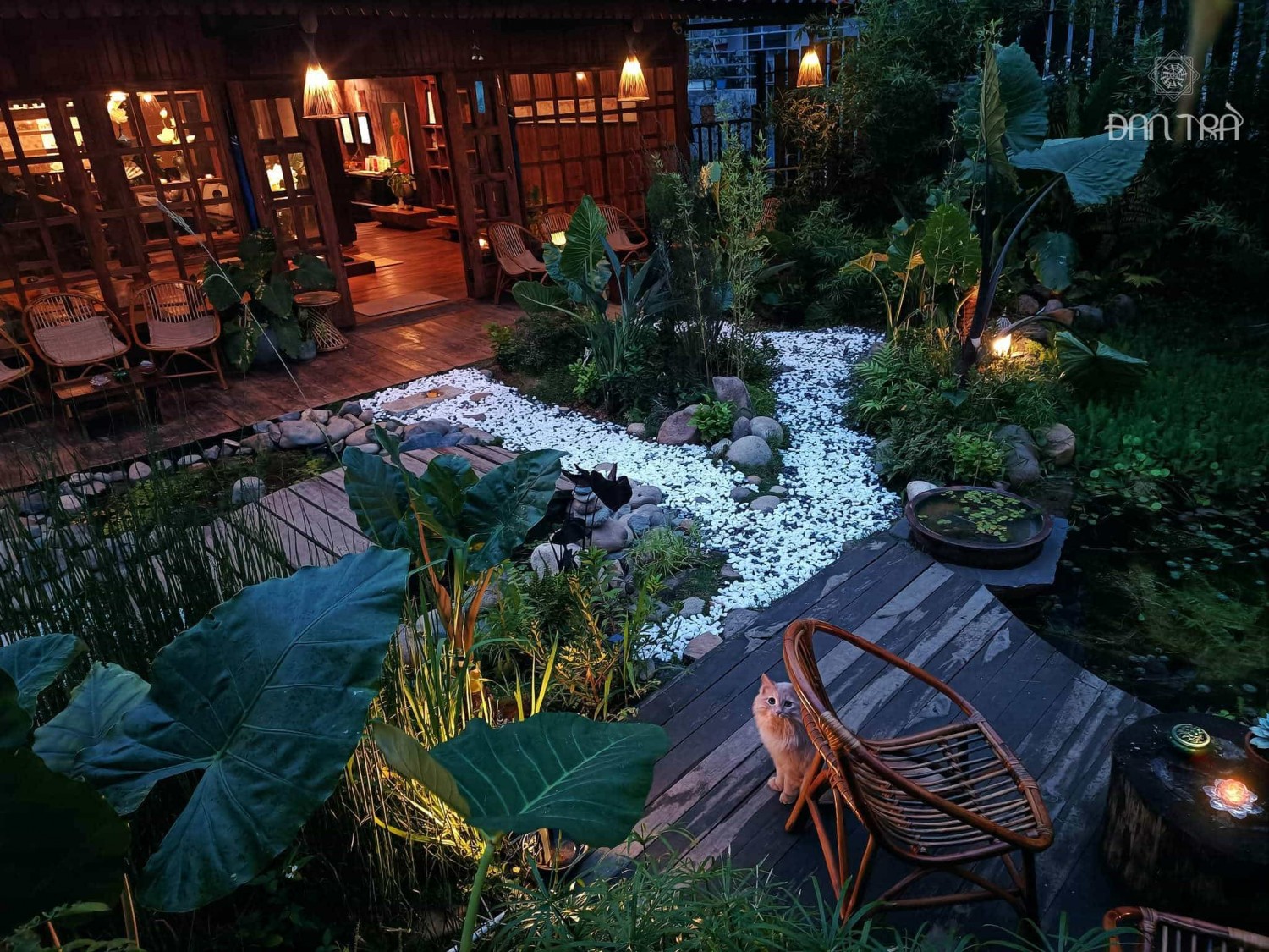 ghế mây sò