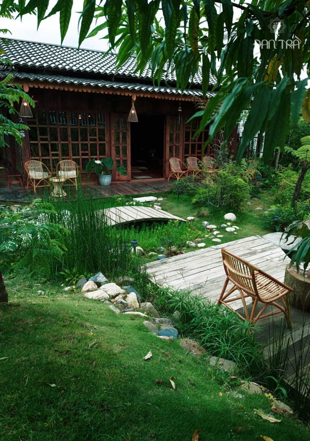 ghế mây sò