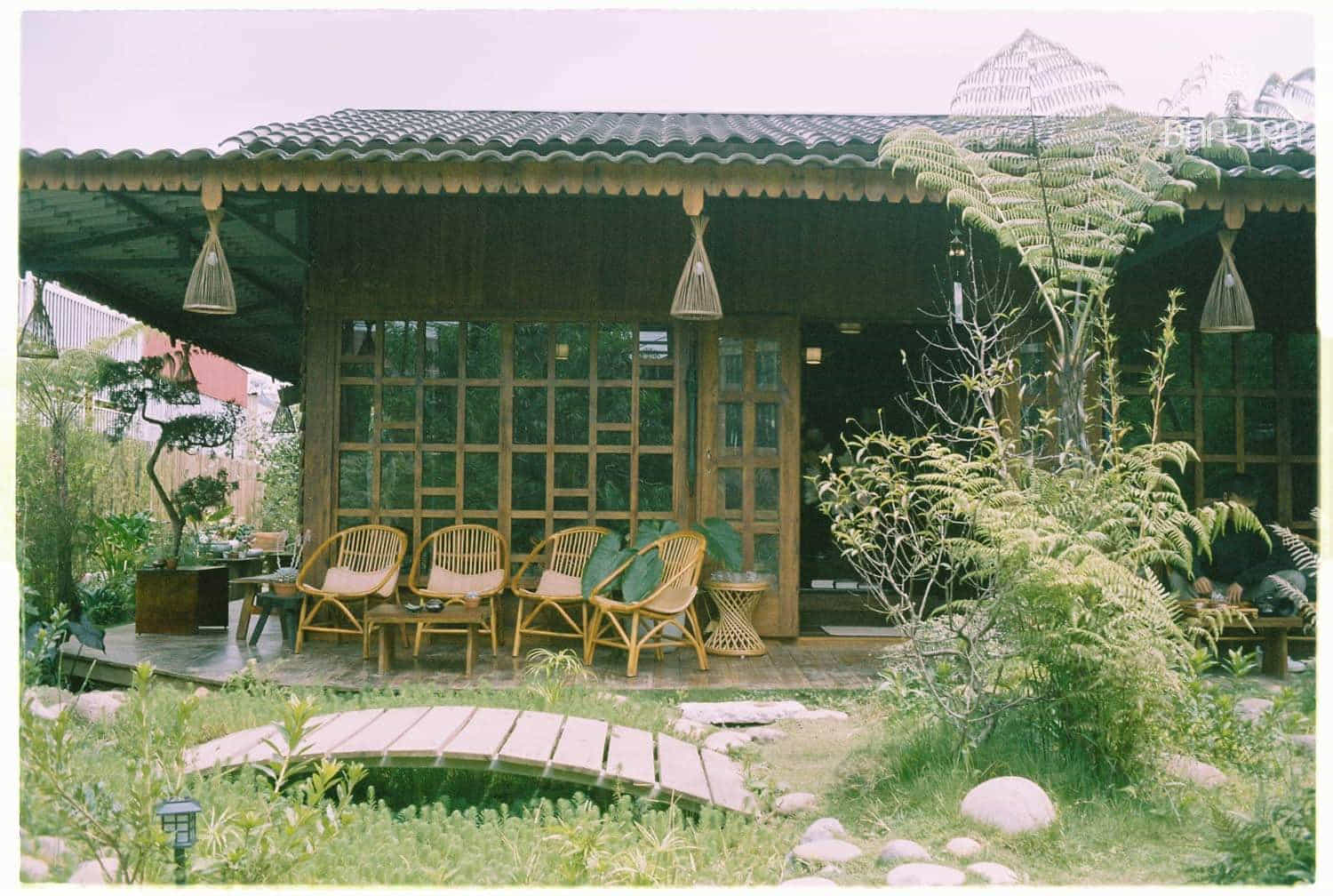 ghế mây sò