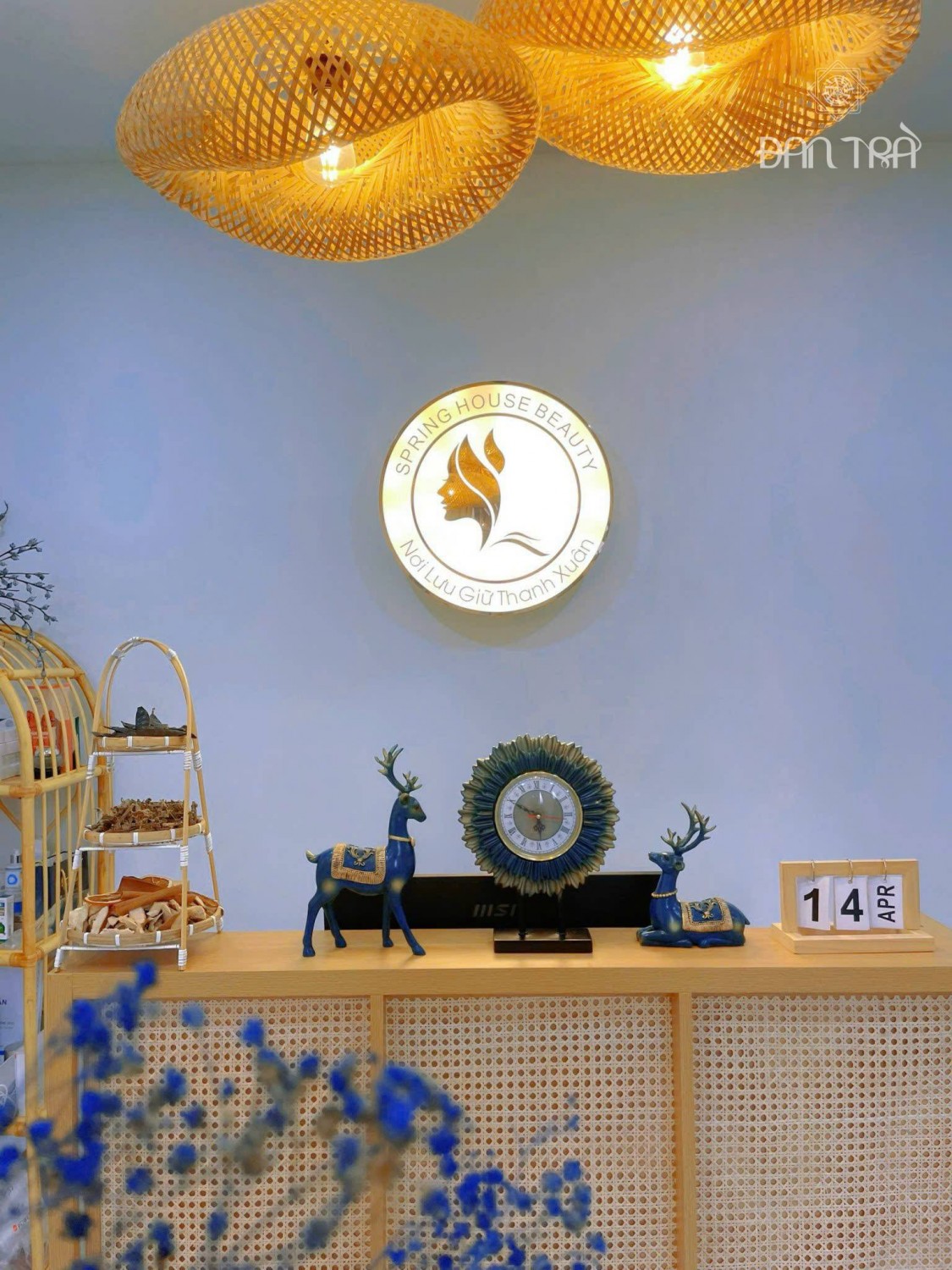 trang trí spa