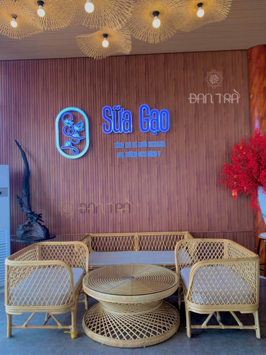 Trang trí mây tre dưỡng sinh bmt