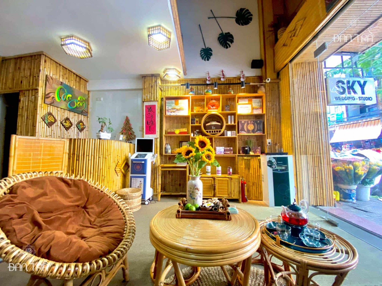trang tri spa 13
