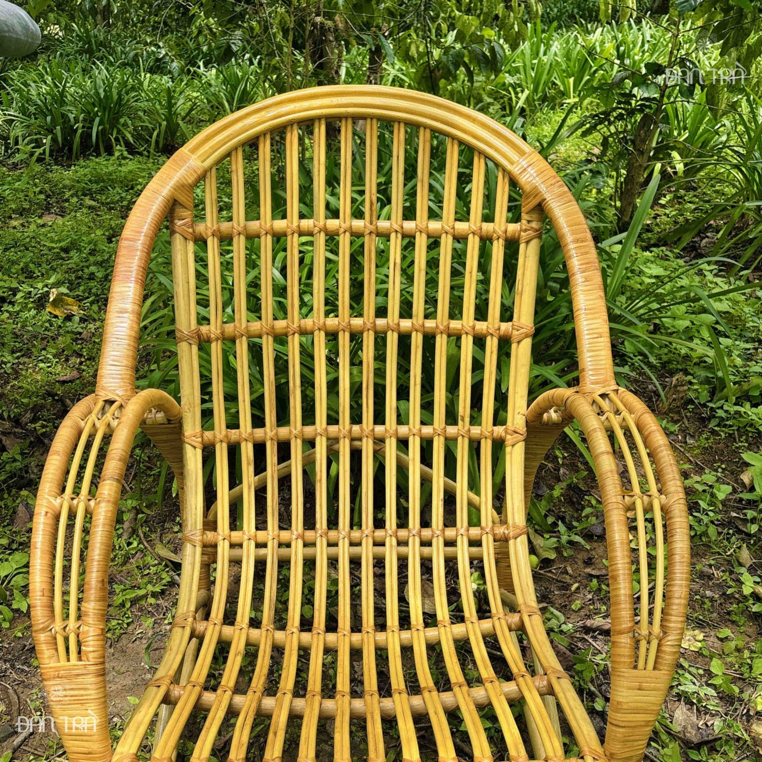 ghế mây