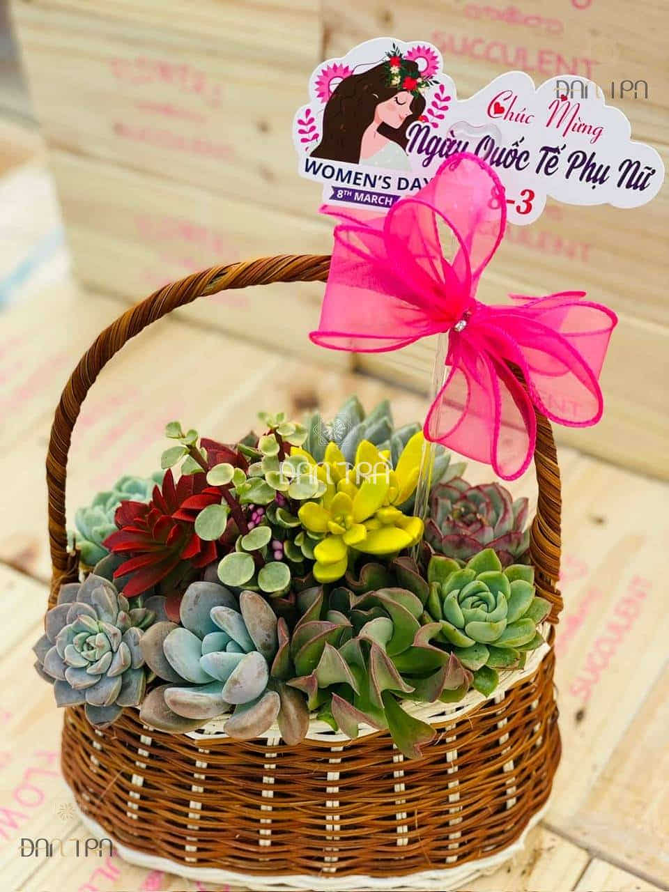 Sỉ, lẻ giỏ mây đựng sen đá giá tại xưởng sản xuất