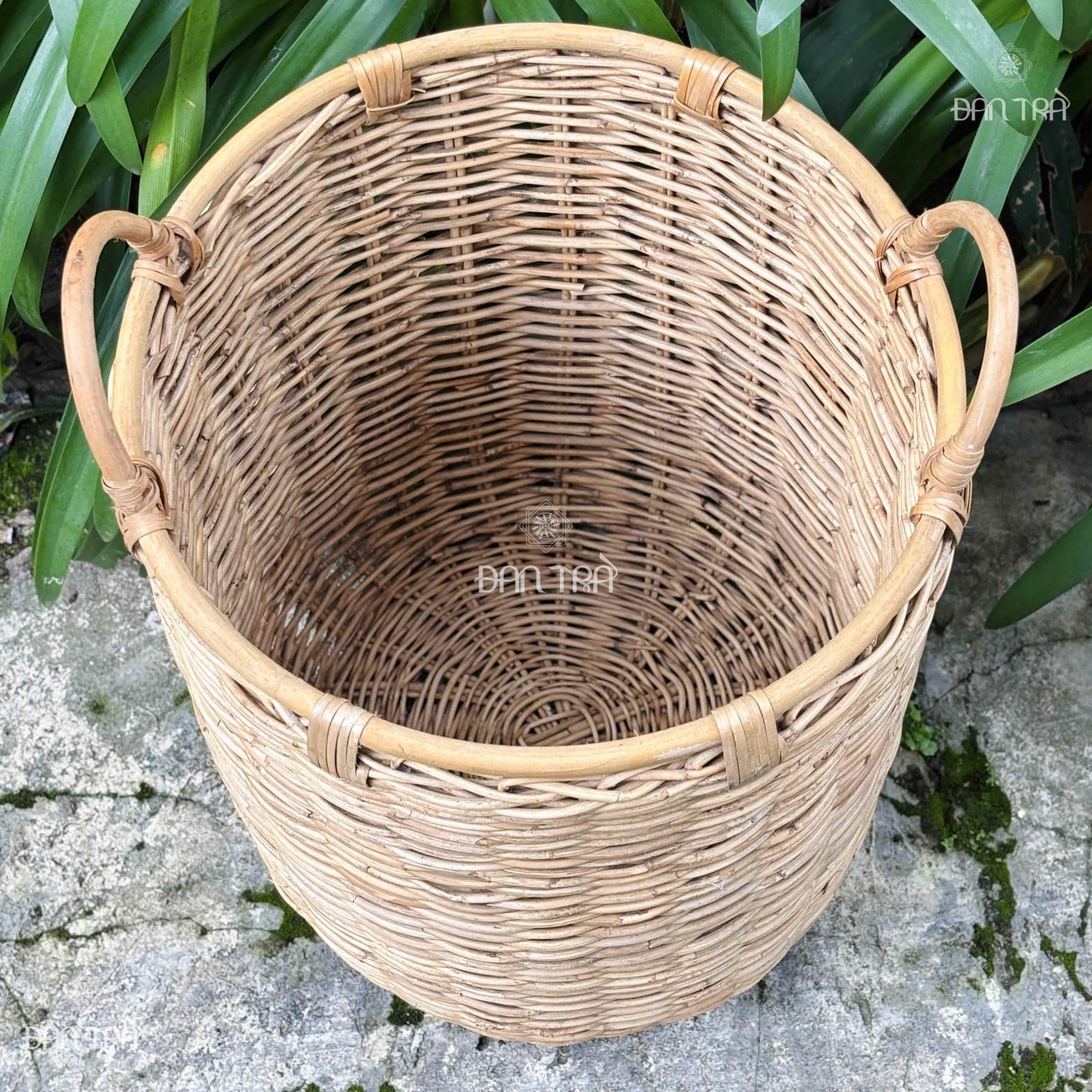 sọt mây