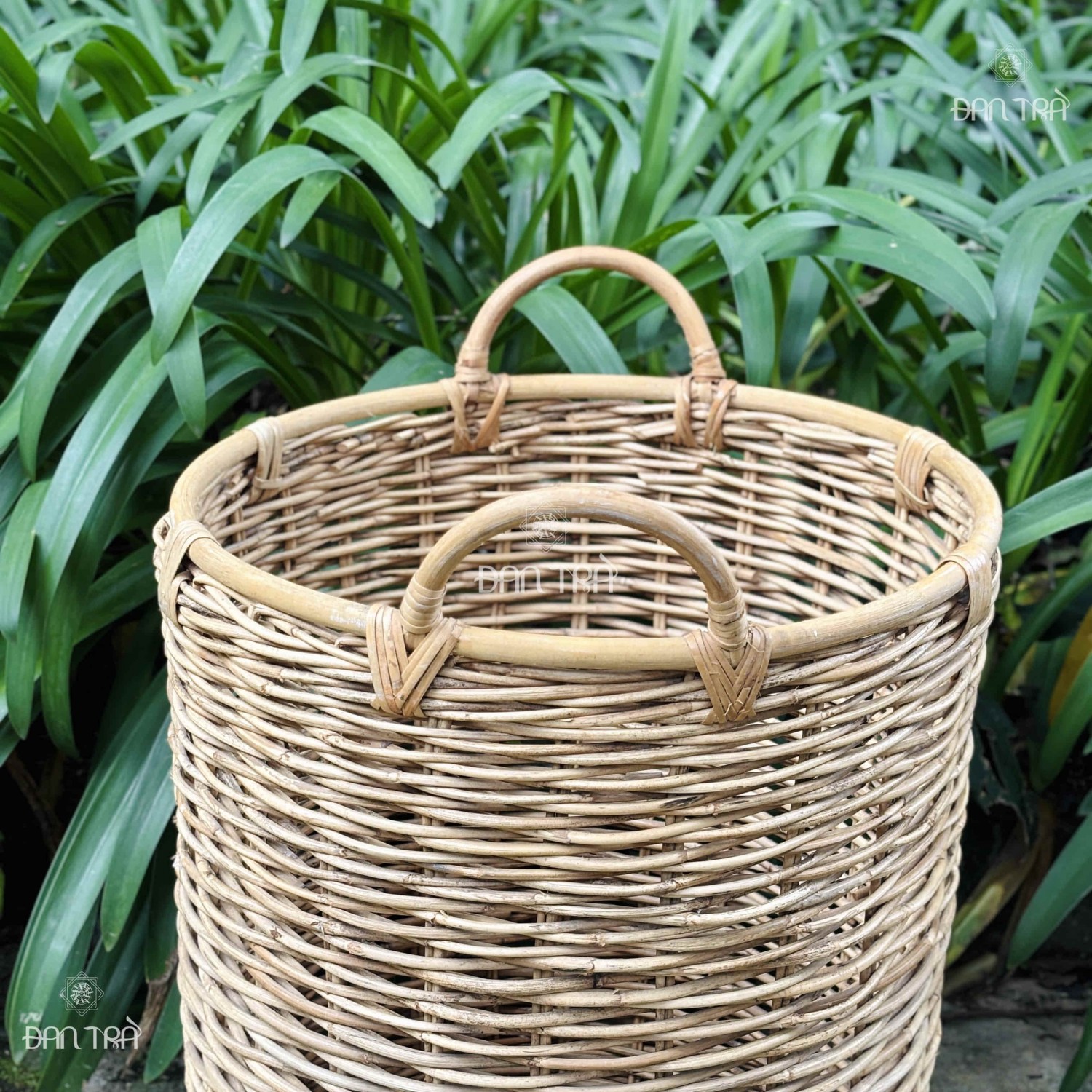 Sọt mây rắc cao cấp