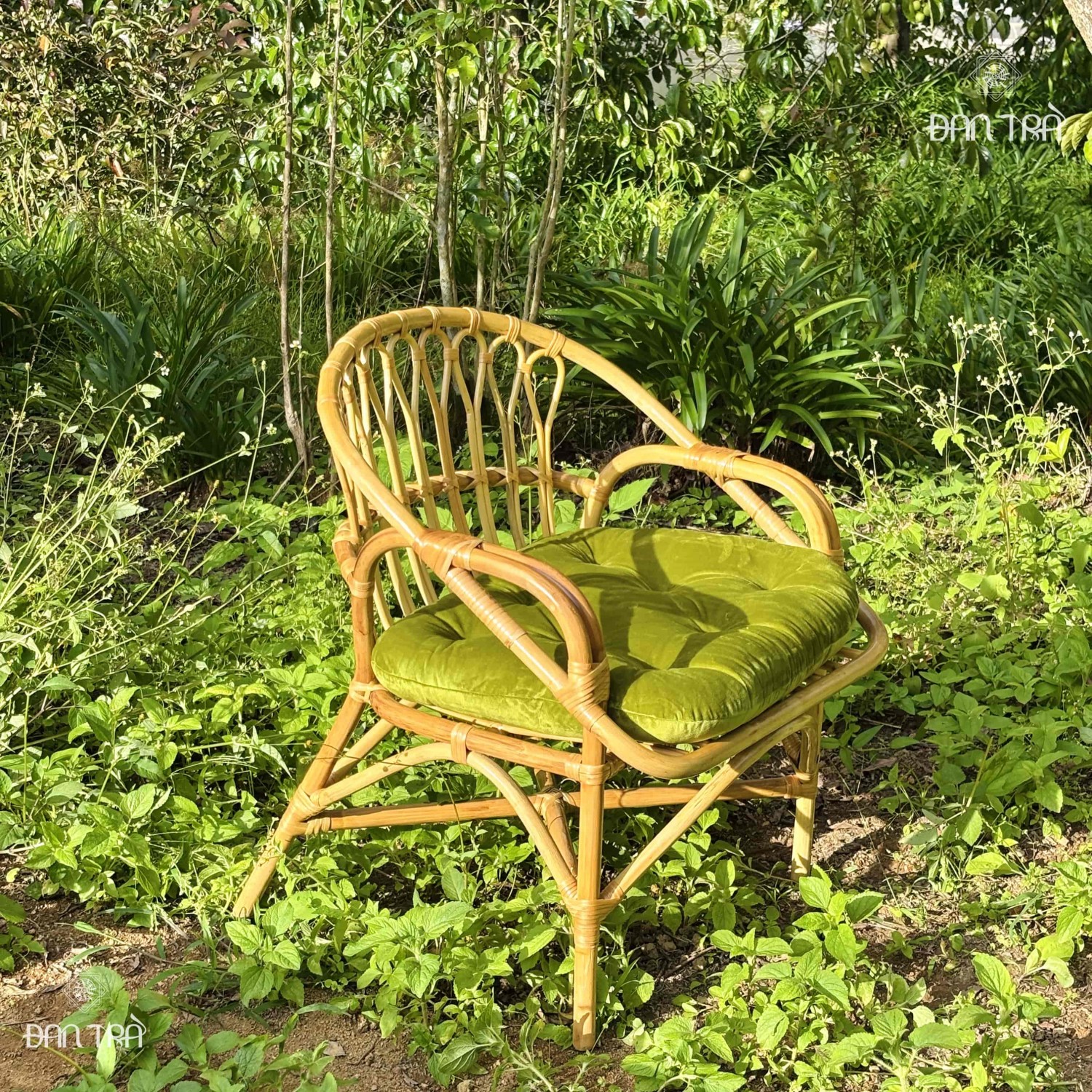Bộ sofa mây nghêu