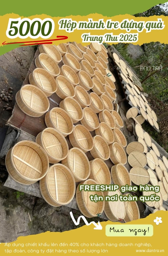 hộp tre