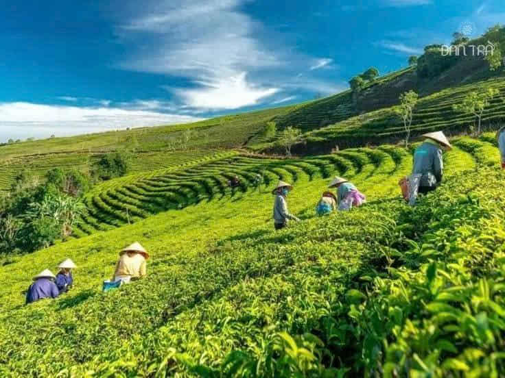 travel da lat 19