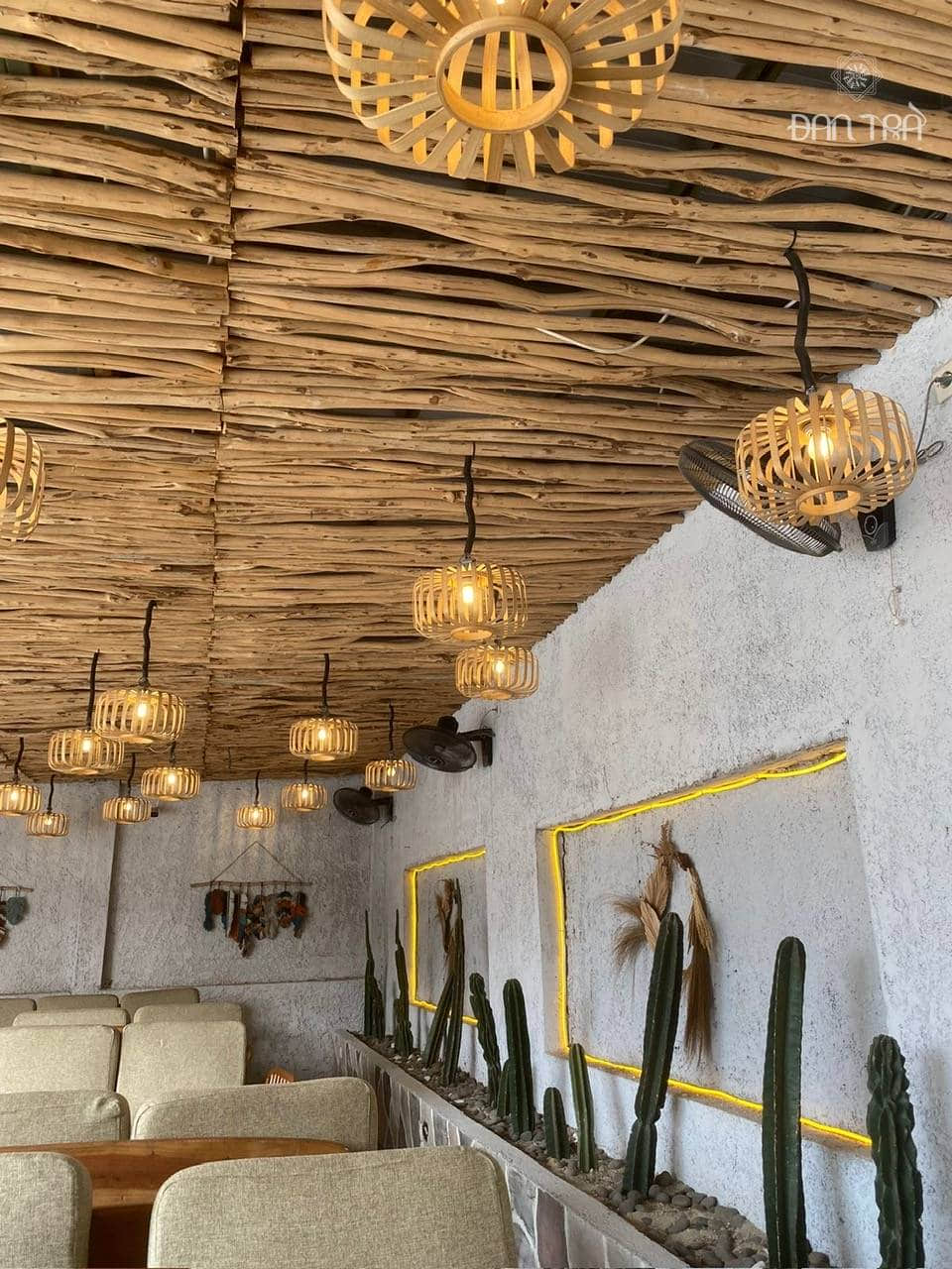 Cây rừng giá rẻ trang trí vách trần quán cafe, homestay đẹp