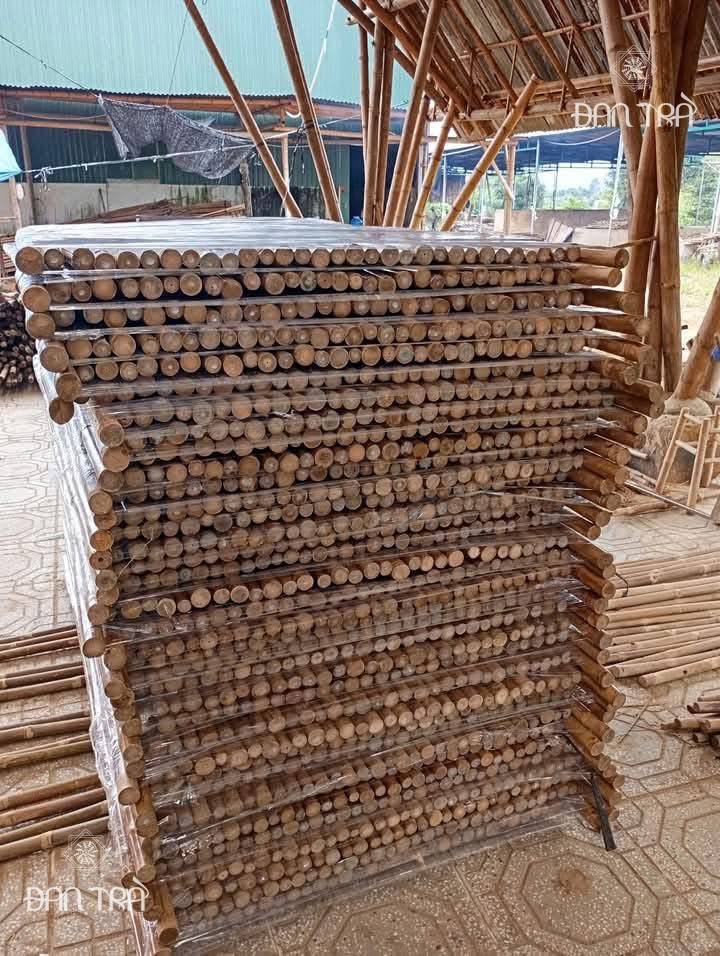 Hàng rào tre, hàng rào tầm vông xử lý mối mọt cao cấp