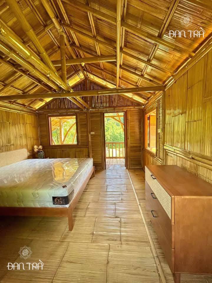 phên tre